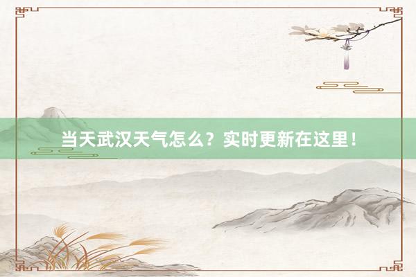 当天武汉天气怎么？实时更新在这里！